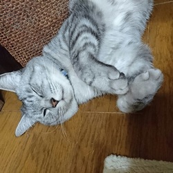 「 まだまだ先は長いが、なんとなく前進」サムネイル3