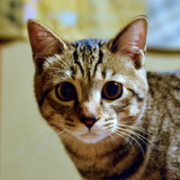 マルリ・チュプ