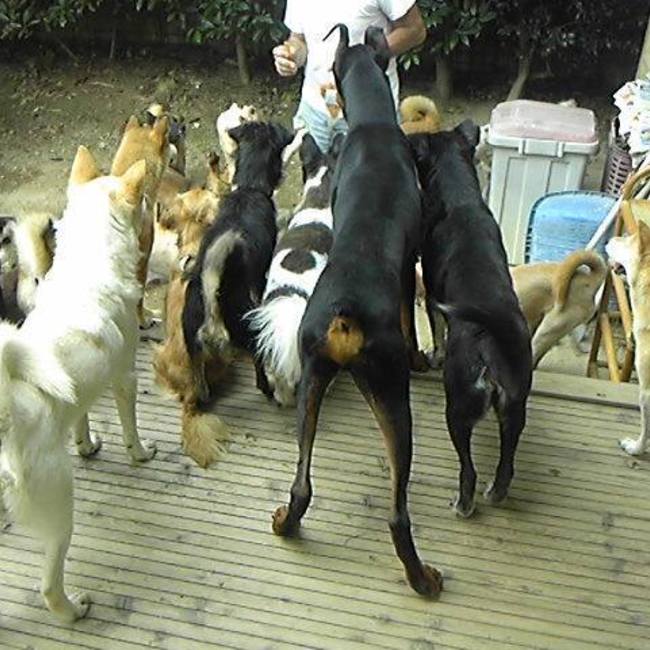 愛媛リードの会のカバー写真