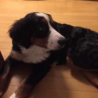 たくさんの応募ありがとうございました。