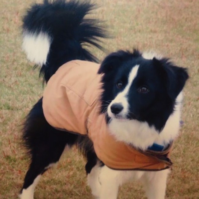 2237のカバー写真