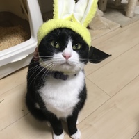 ぢぐちゃん