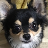 ぽんず