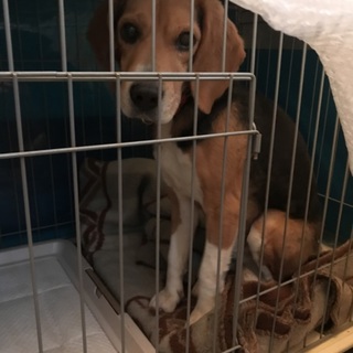 たくさんのご応募ありがとうございました…