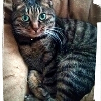 ☆なっちゃん☆