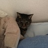 の写真