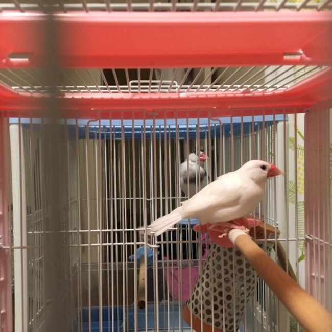 さんだのおかのカバー写真