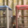 さんだのおか