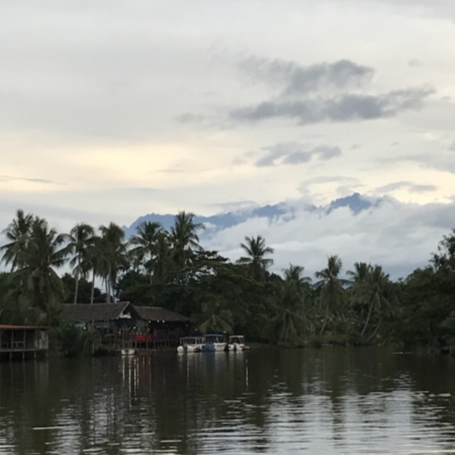 nana_chiiのカバー写真