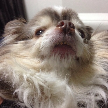 の写真