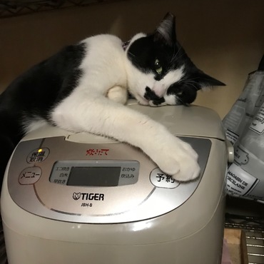 朧「ママ～予約ボタンはここだよ～！」（＾＾；