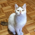 甘えっ子さんです♪