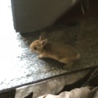 の写真
