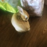 の写真