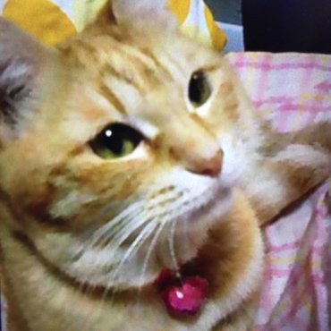 いつもかーちゃんを見てます