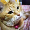 いつもかーちゃんを見てます