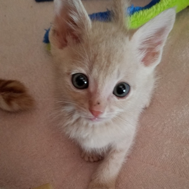 ヒロぽーのカバー写真