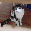 べっぴんミルちゃん