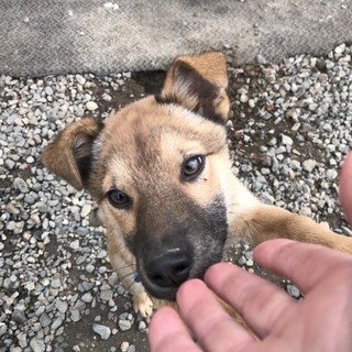 交渉中
