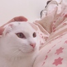 成長してます。
