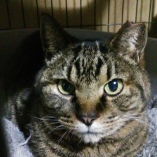 とても人慣れした女の子