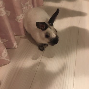 の写真