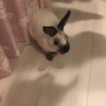 の写真