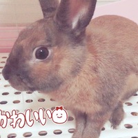 。