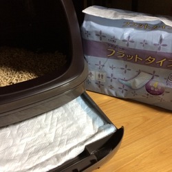 ニャンとものシーツ