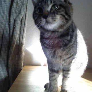 おっとりやさんの　りきくん。