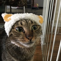 鱧太朗