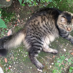 探しています！