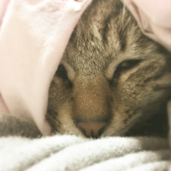 としみん0616のカバー写真