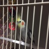 家族が増えました^^;