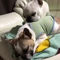 一旦募集を停止させて頂きます。