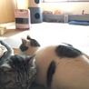 の写真