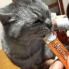 の写真