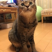 リオ