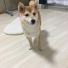 の写真