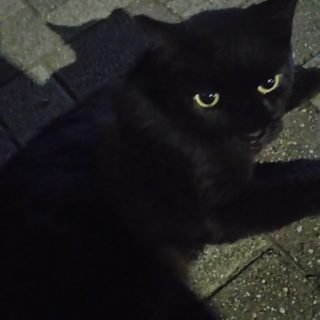 この子達の素敵な未来①