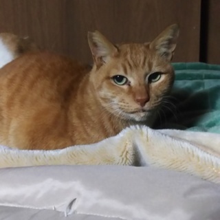 この子達の素敵な未来②