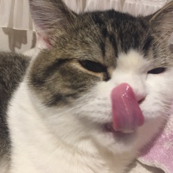 モモちゃんの心音