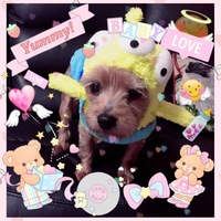 ♡モモちゃん♡