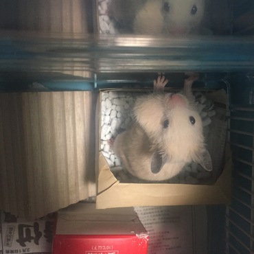 の写真