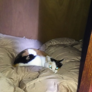 この子達の素敵な未来⑤