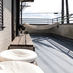 「猫の運動場☆青空カフェ　その２」サムネイル2