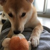 の写真