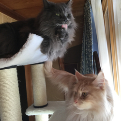 「おひさです」サムネイル2