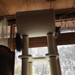 「おひさです」サムネイル3