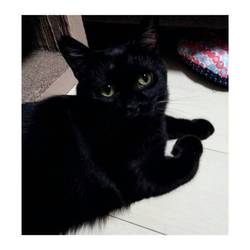 「あなご元気だ！」サムネイル2